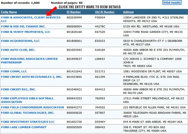 Michigan Corporation Entity Search Results