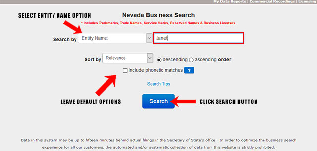 Nevada Corporation Entity Search