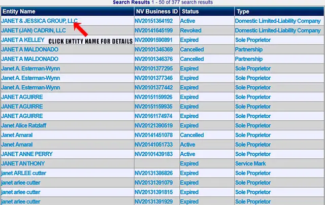 Nevada Corporation Entity Search Results