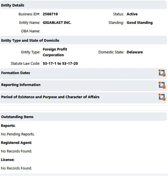 New Mexico Corporation Entity Details