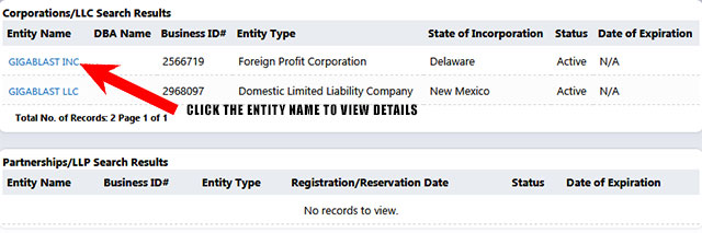 New Mexico Corporation Entity Search Results