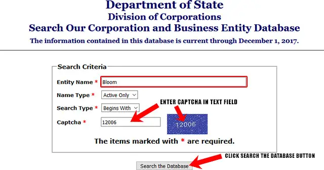 New York Corporation Entity Search