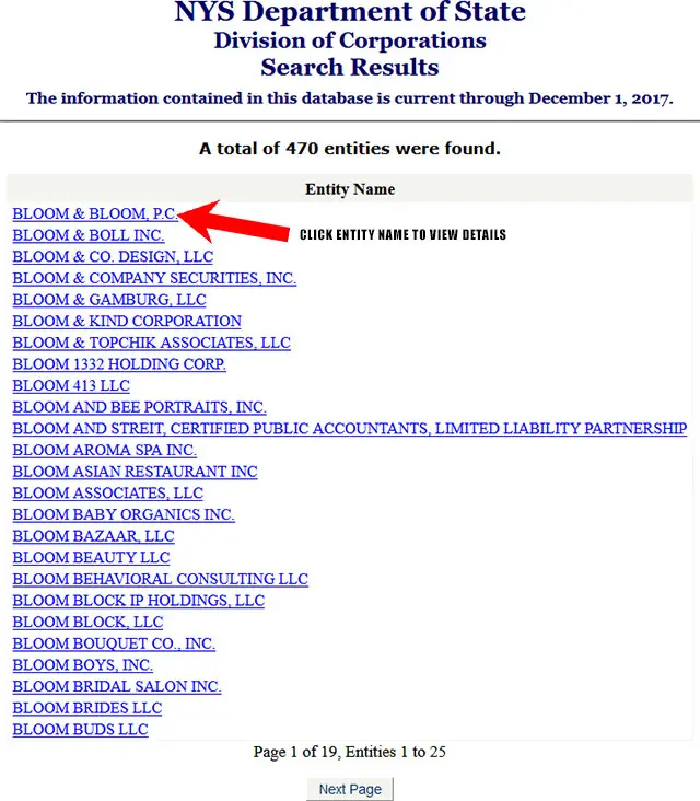 New York Corporation Entity Search Results