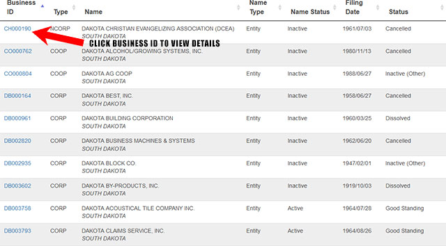 South Dakota Corporation Entity Search Results