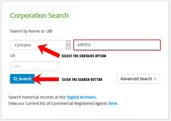 Washington Corporation Entity Search